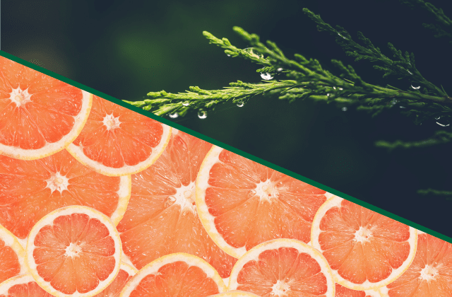 LYME SCI: What smells like citrus and protects you from ticks?